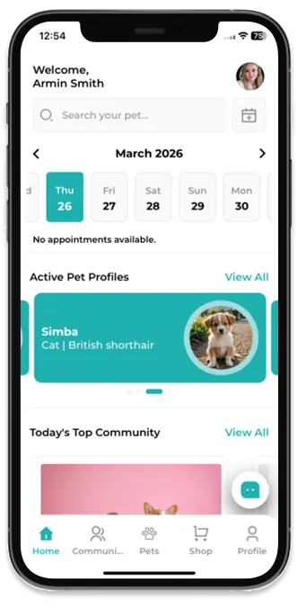ReactJS mobile experience mockup